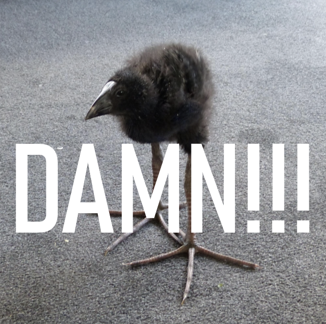 ABB